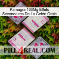 Kamagra 100Mg Effets Secondaires De La Gelée Orale 33